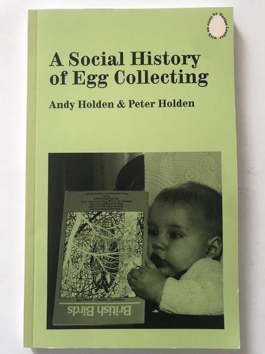 Ovos historia do colecionismo de ovos