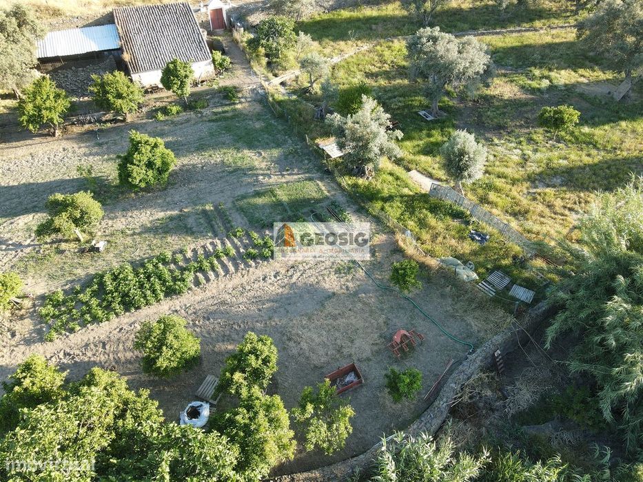 Quintinha T1 Venda em São Miguel do Pinheiro, São Pedro de Solis e São
