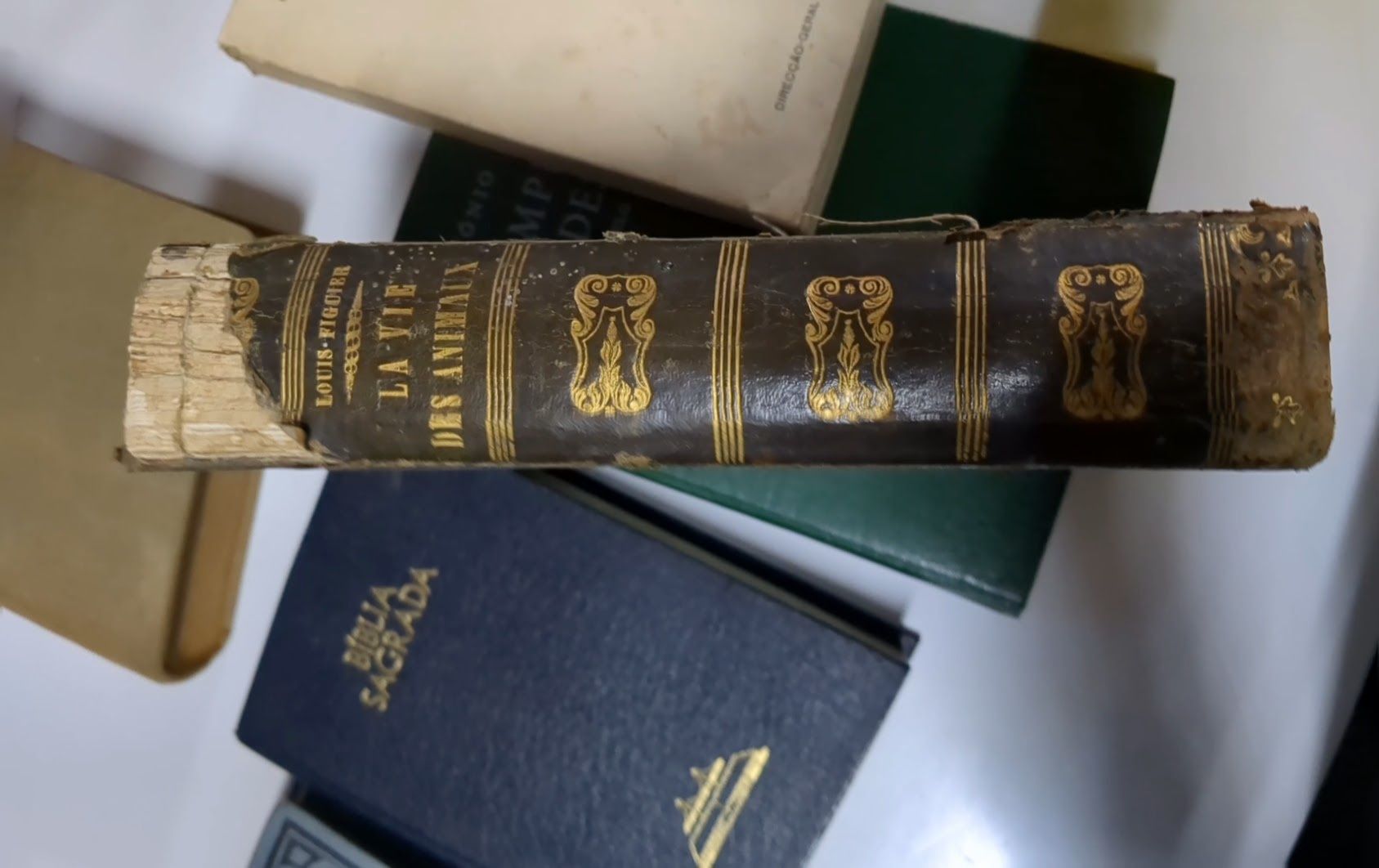 Livro antigo com título lá vie des animaux 1910
