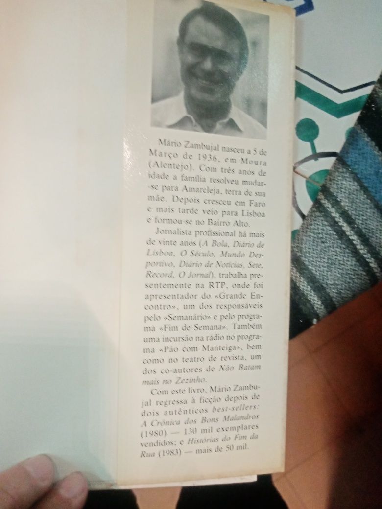 Romance Mário Zambujal, À noite logo se vê