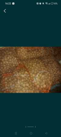 Ziemniaki kaliber 35-45 DENAR