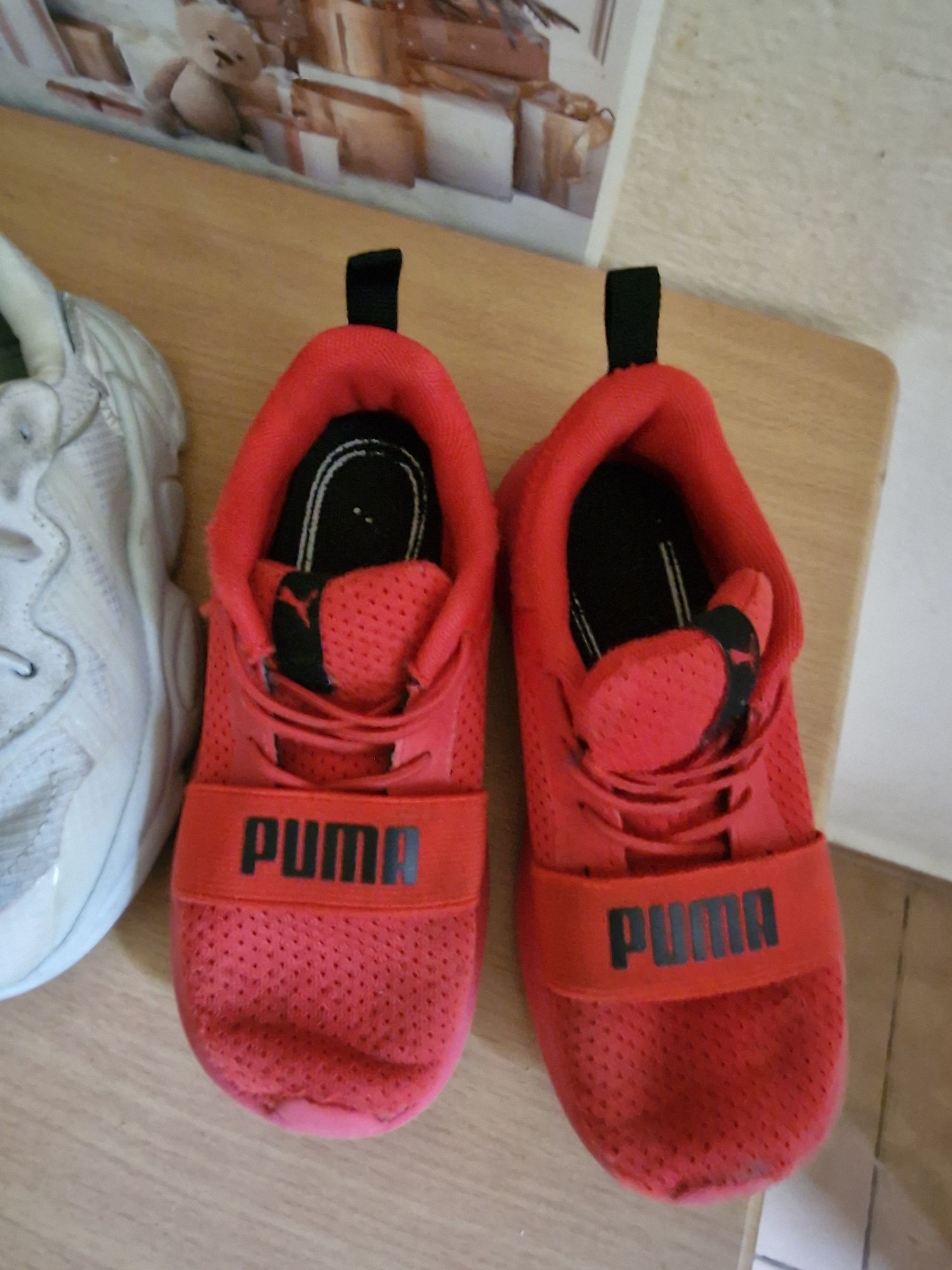 Zestaw puma I adidas 16,5 cm