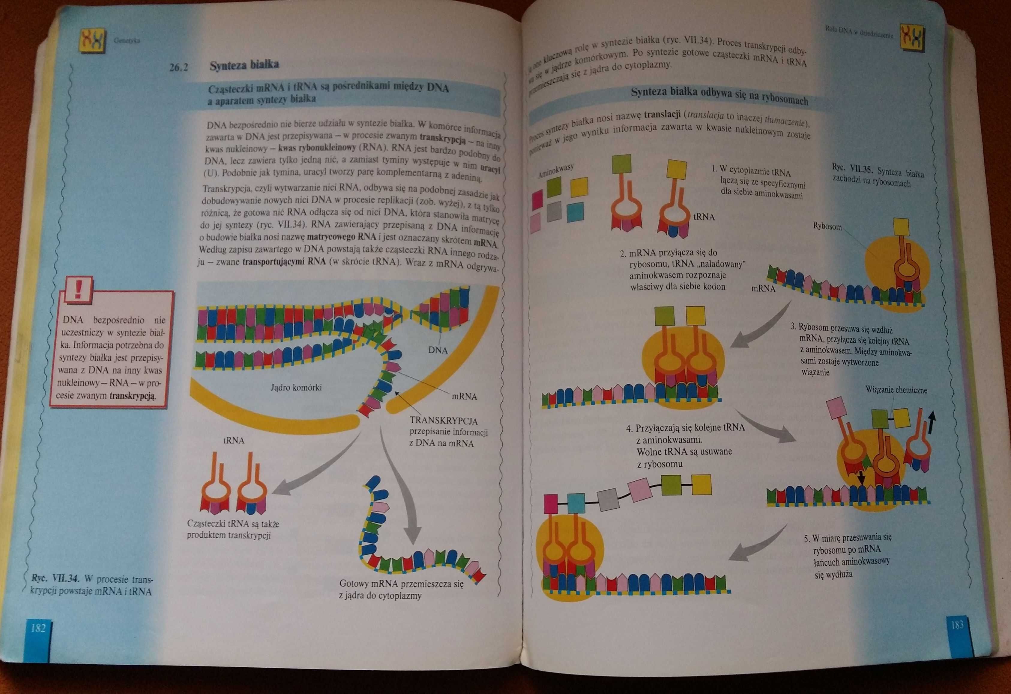 Biologia XXI wieku podręcznik część 2 - Czubaj,Grzegorek