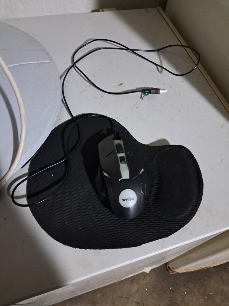 Rato e tapete, para pc