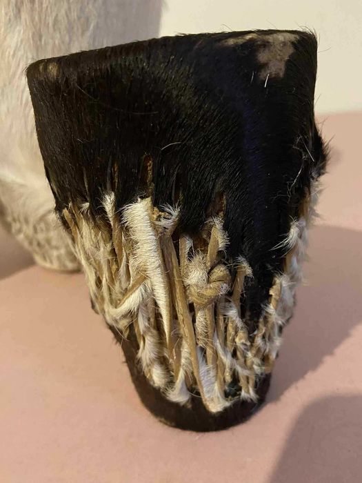 Trzy bębenki pokryte skórą