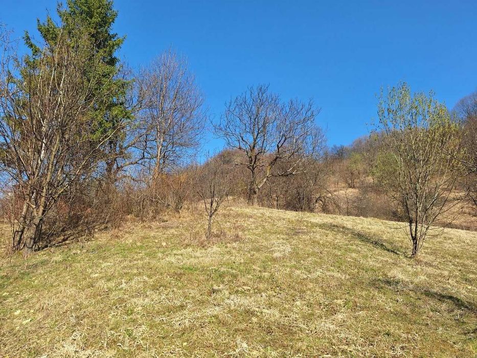 Без % Продаж будинку з ділянкою 0,60 га с. Міжброди, Чернівецька обл.