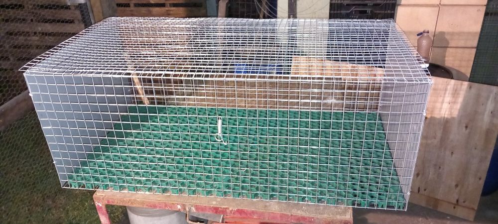 Gaiola coelhos/pintos/codornizes