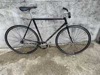 Fixed gear cosmos