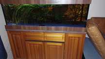 Akwarium 150x50x50