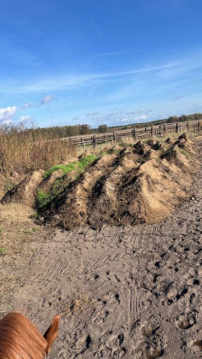 ODDAM ZIEMIĘ!!! za darmo!!!