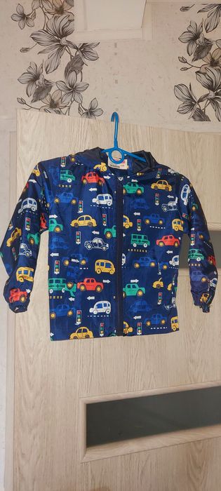 Kurteczka wiatrówka