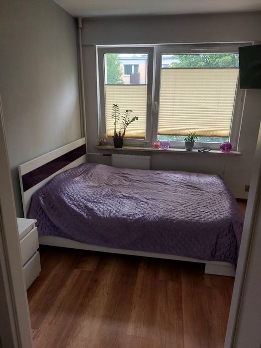 Mieszkanie w centrum CZĘSTOCHOWY  do wynajęcia