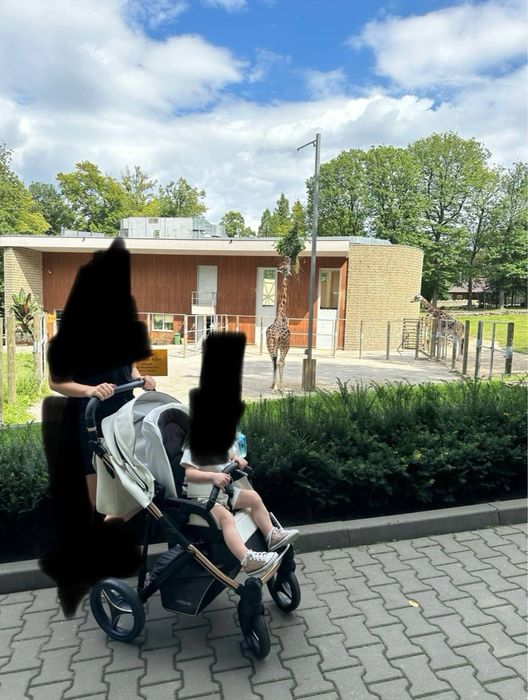 Bebetto wózek wielofunkcyjny 2w1 Pascal Premium Class Stella 01