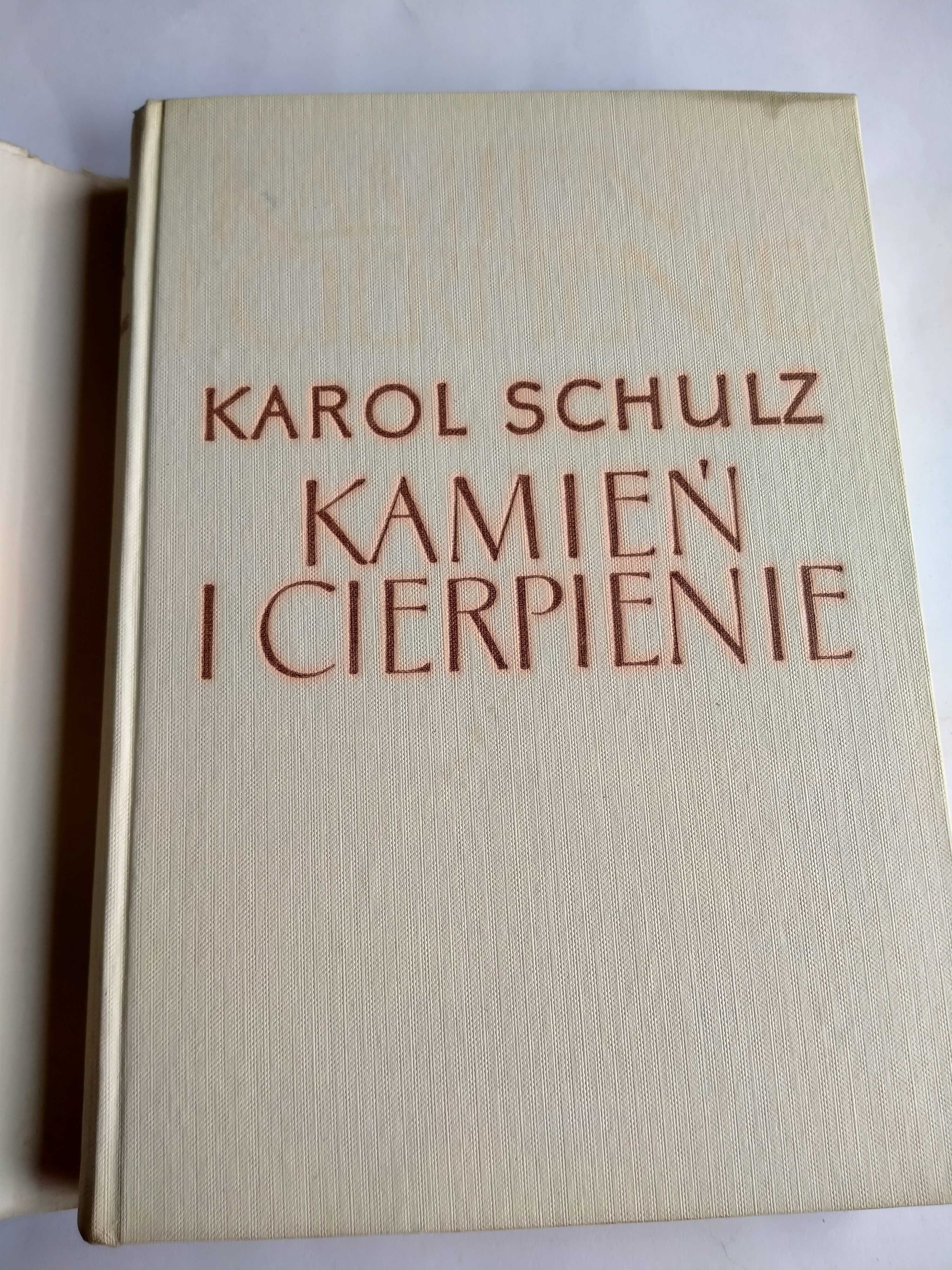 Kamień i cierpienie - Karol Schulz