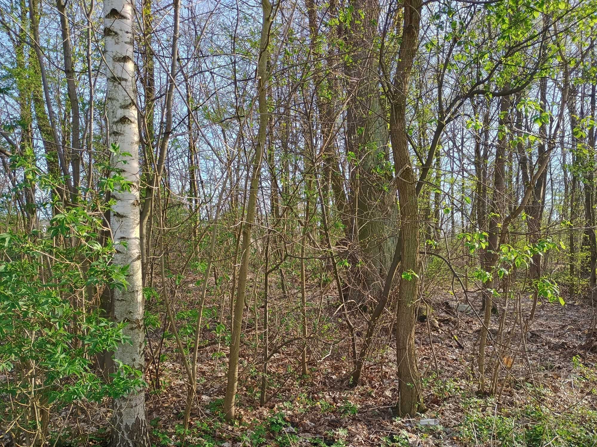Działka budowlana