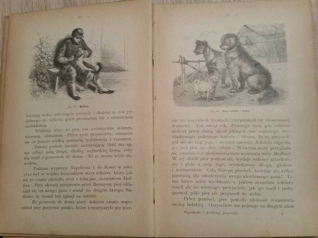 M. Brzeziński Pogadanka z Dziedziny Przyrody i Przemysłu 1898  wyd. II