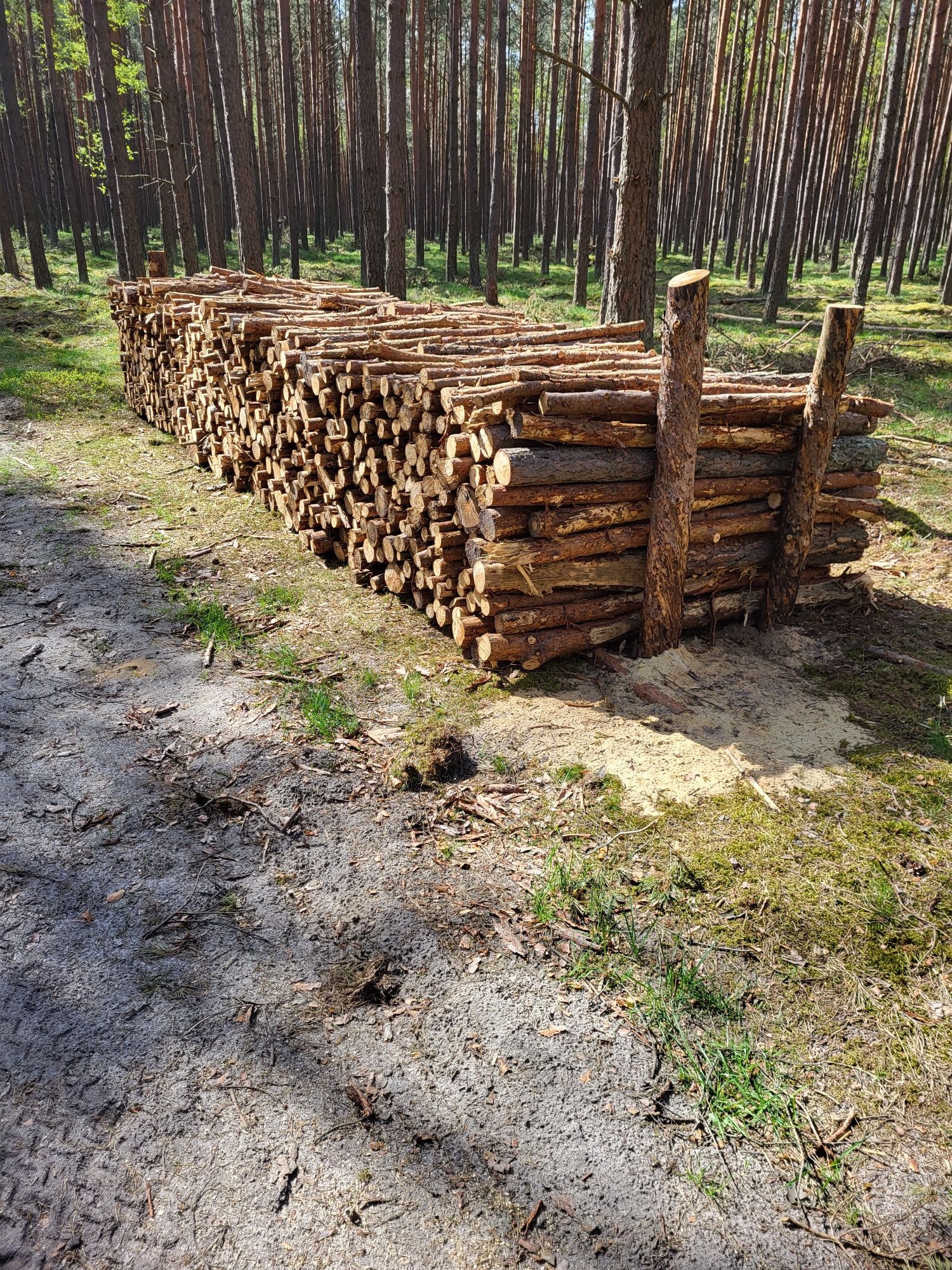 Drewno opałowe gałęziówka