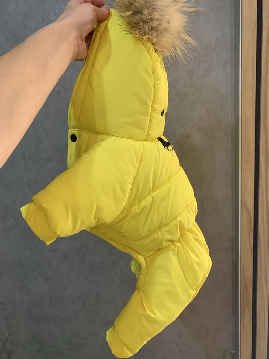 Одяг для собак зима/ осінь