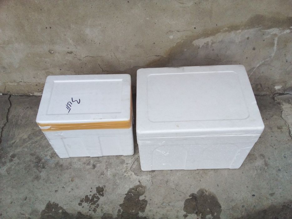 термобокс для пикника пенопластовый ящик