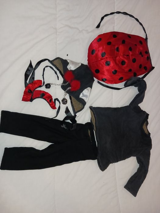 Fato de Carnaval Joaninha