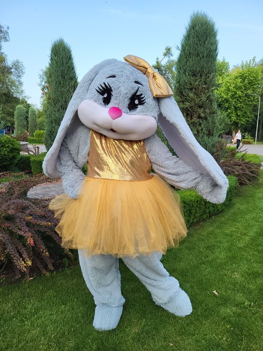 Гендер Паті Аніматори Зайка Мишка Жива Фотозона Гендер Пати Аниматор