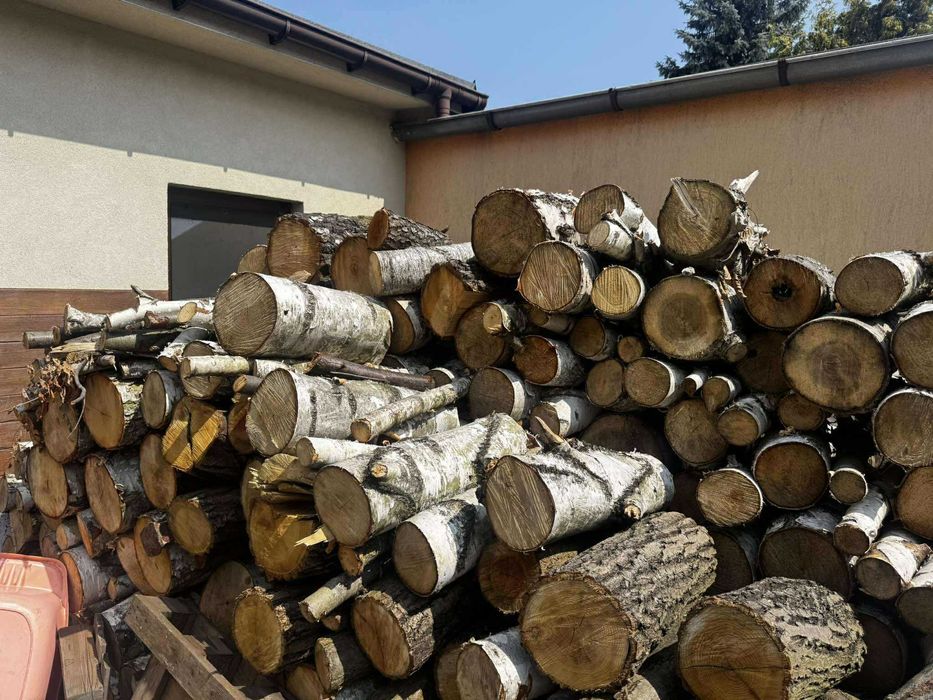 Brzoza drewno opałowe liściaste