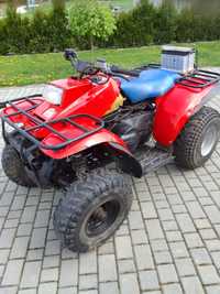 Polaris D-bat 400 diesel