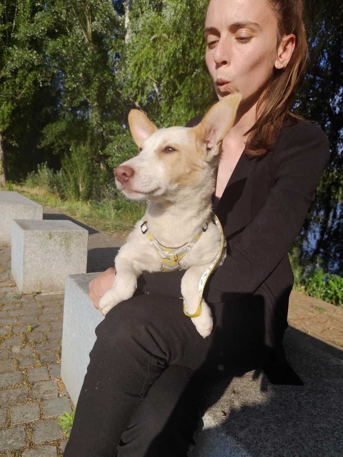 A bebe ROSINHA está para adoção!