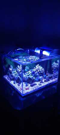 Akwarium Optiwhite Shallow kostka nano rafa morskie kaskada lampa LED