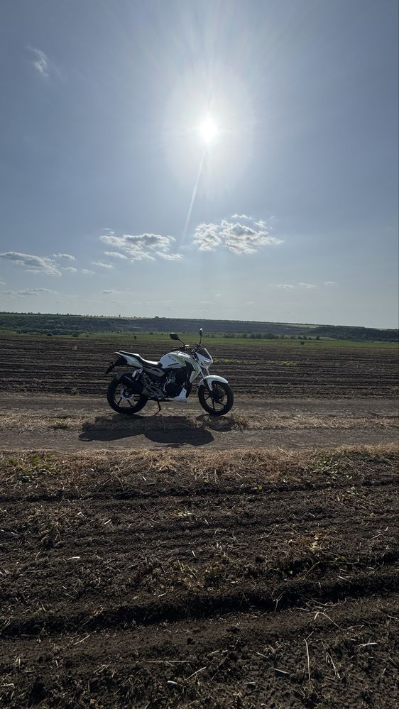 Geon pantera 250