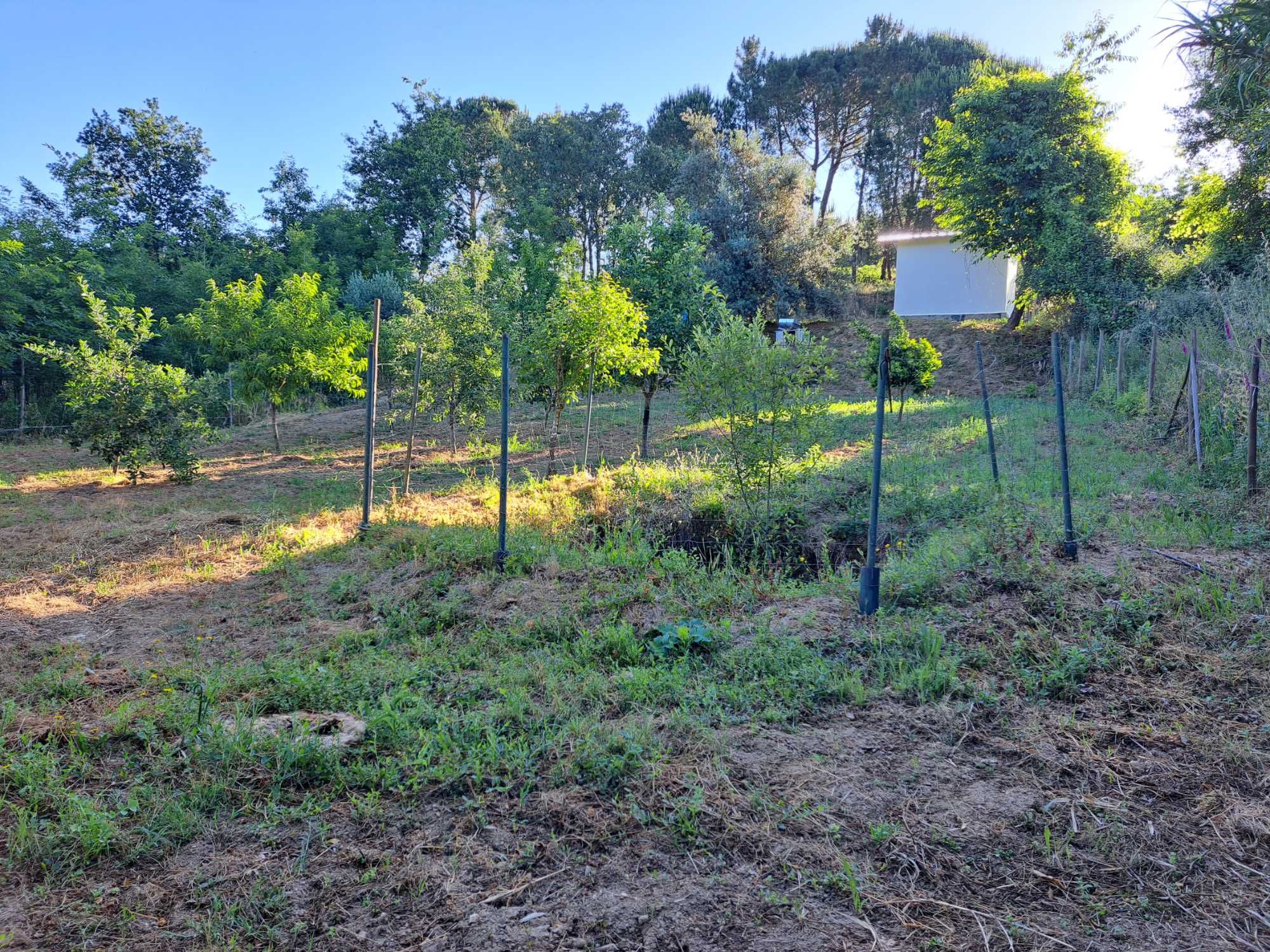 Terreno Agricola