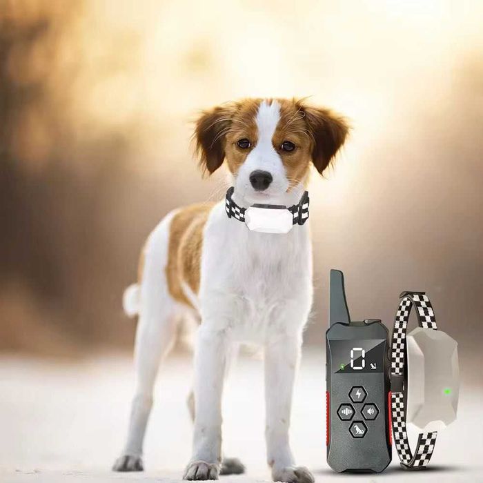 Электроошейник для мелких и средних пород собак JD 535