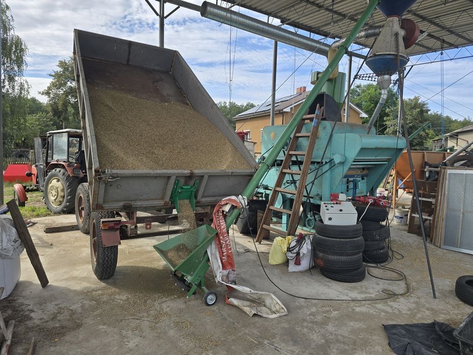 Ziarno czyszczenie zboża