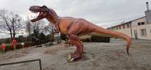 Dinozaur T-rex XXL laminat figura ogrodowa