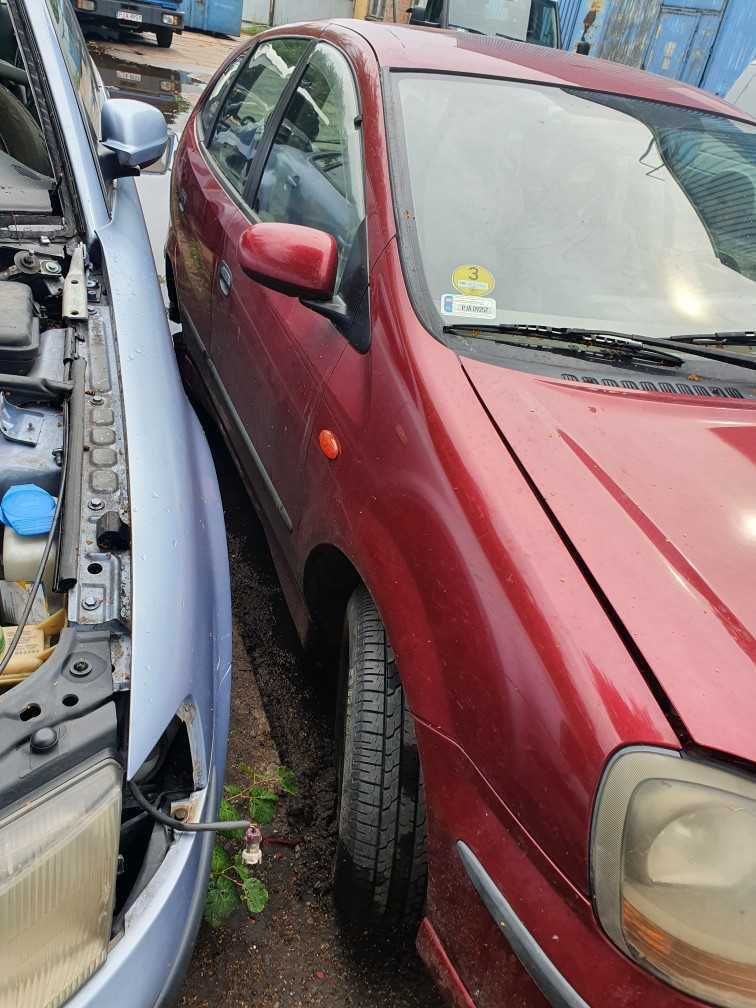 Nissan Almera Tino kolor wiśniowy metalik przeznaczony na części
