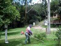 Limpeza de terrenos e mato e abate de arvores todo o pais