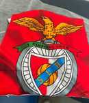 Capa de almofada