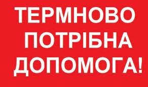 Потрібна допомога багатодітній сім'ї з лежачою бабусею