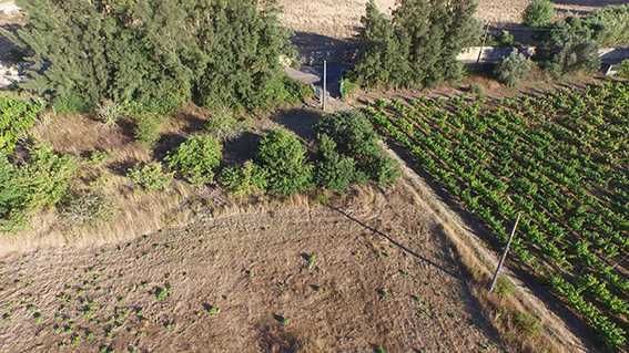 Terreno Rústico, 12.255,00m2 Aldeia da Piedade, Azeitão, Setúbal