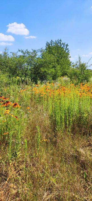(3) Продам дачний будинок в Сальнику 0925