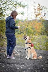 REX- nie duży pies poleca sie do adopcji