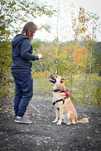 REX- nie duży pies poleca sie do adopcji