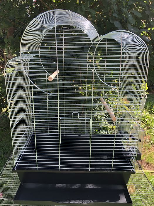 Nowa klstka dla papug