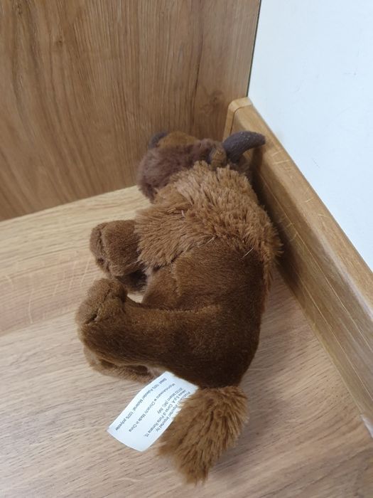 Maskotka dla dzieci żubr