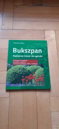 Bukszpan : najlepszy krzew do ogrodu - K. Adams