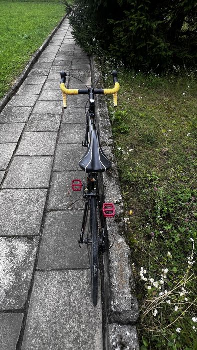 full carbon Fuji Altamira 2.9 rower szosowy