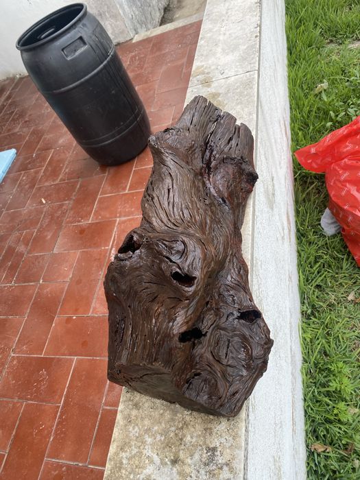 Tronco para aquario