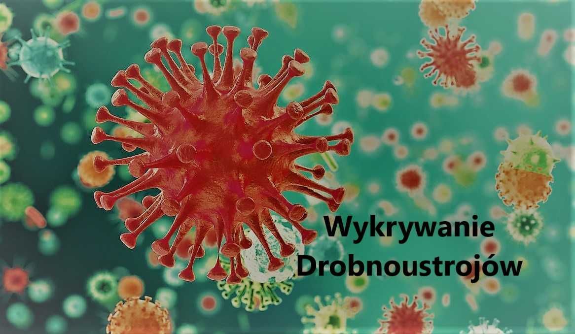 Wykrywanie i Usuwanie-Bakterii, Pasożytów, Grzybic-NEOMED Śląsk