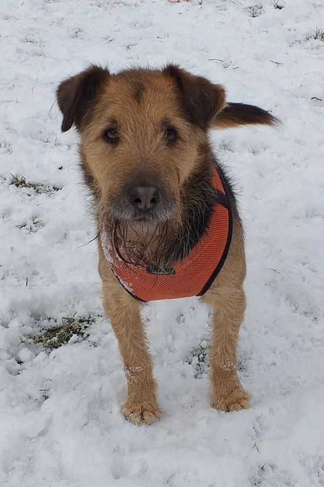 Terry czeka na szansę od życia, na własną rodzinę