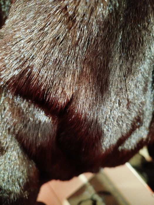 Продам шубу натуральна